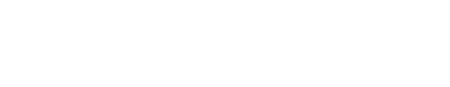 Bold Compass Logo (Compass Icon + Bold Compass + "Your Web App, Perfected" tagline)